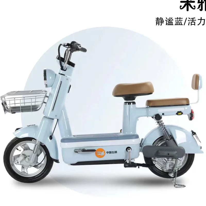 High-speed Two Wheel New Energy Electric Vehicle(FP-ES-LT2305)