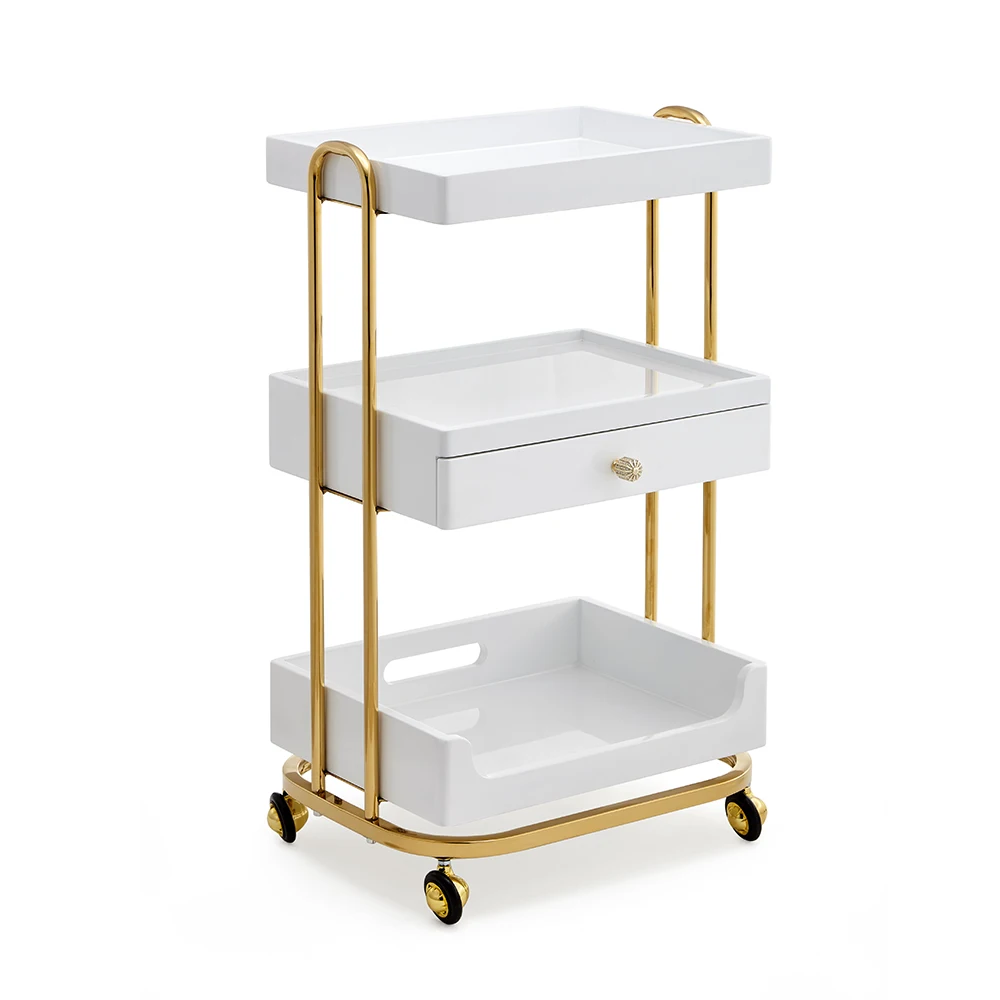 Utility Cart High end Hairdressing Beauty hair mobile salon trolley cart Professional Tool Hair Dryer Storage cabinet Rack