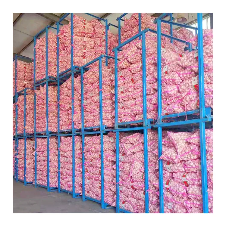 Bawang putih high quality fresh normal white garlic for Indonesia 20kg mesh bag garlic bawang putih