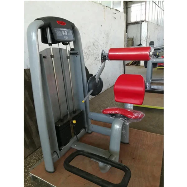 Exercise gym fitness equipment pin loaded lower back machine