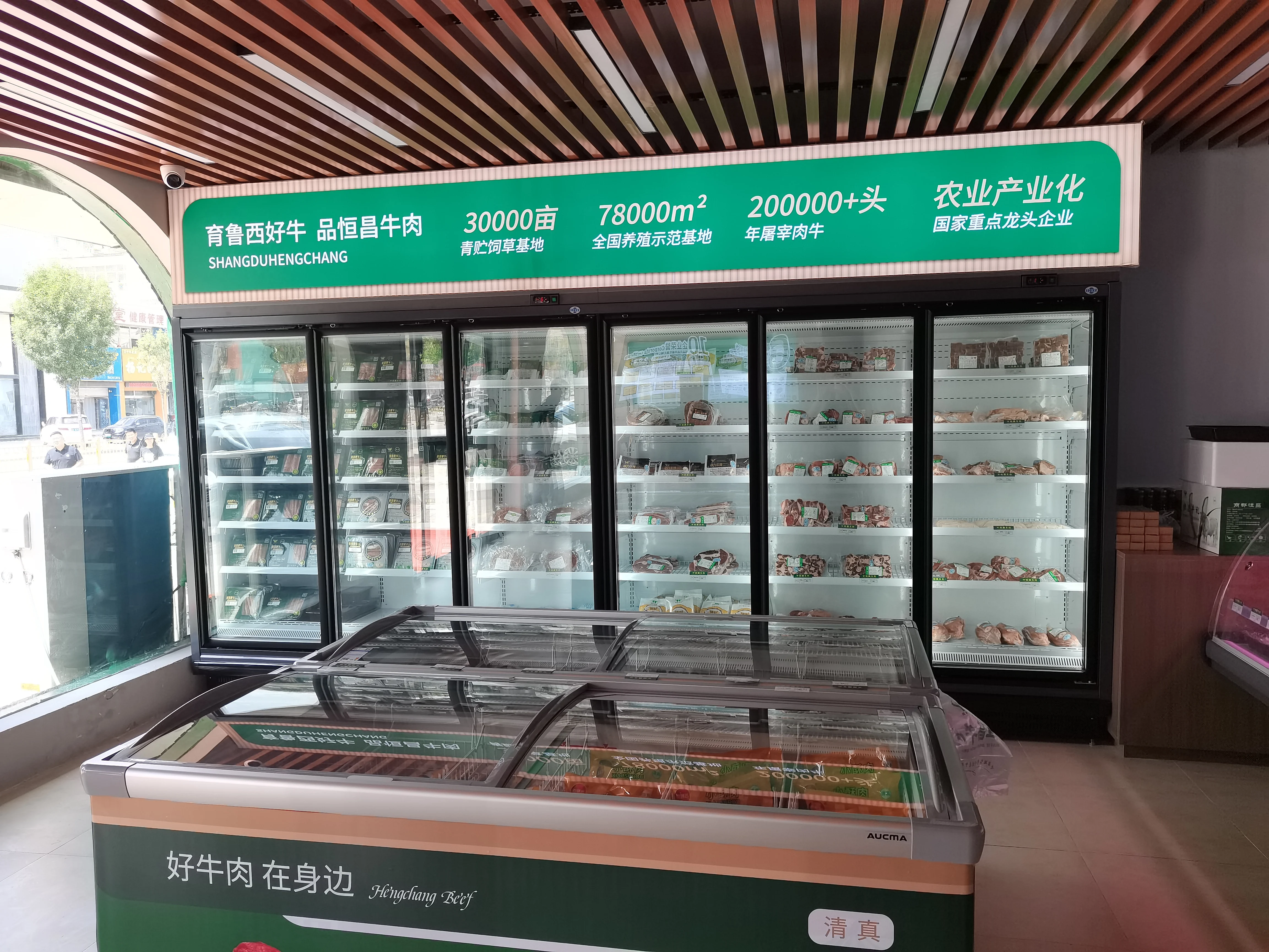 stand supermarket display freezer with best price fast cooling commercial freezer