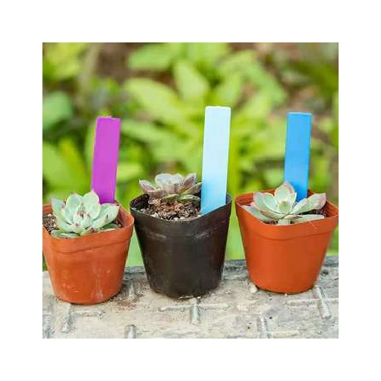 100   Pcs  Plastic For Plant Garden Stake Tag Label Seed Plant Marker
