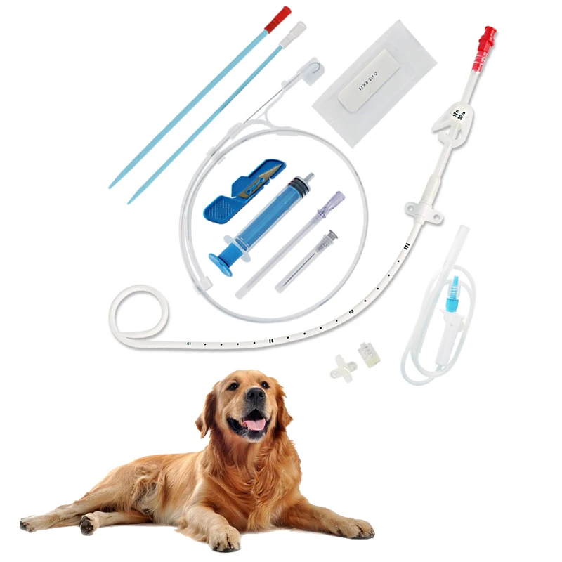 High-Quality Double Lumen Catheter Kit Catheter Bag for Veterinary Hemodialysis Hot Sale Triple Lumen Dialysis Catheter