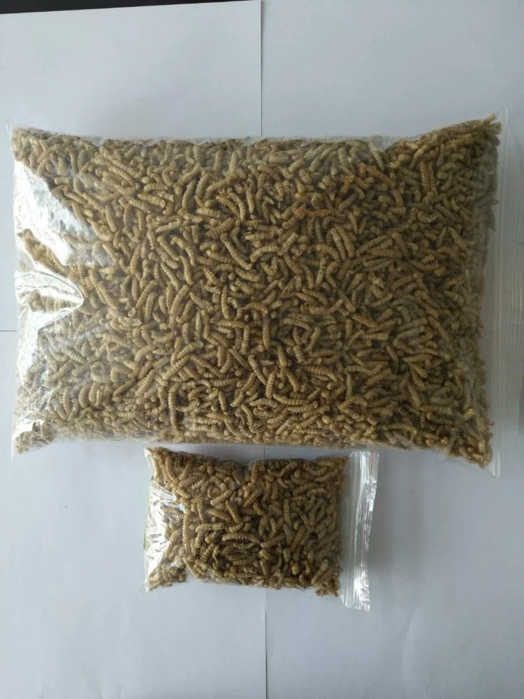 Dried Yellow Meal Worms Pupa Mealworm Pupa Bird Food Pet Food