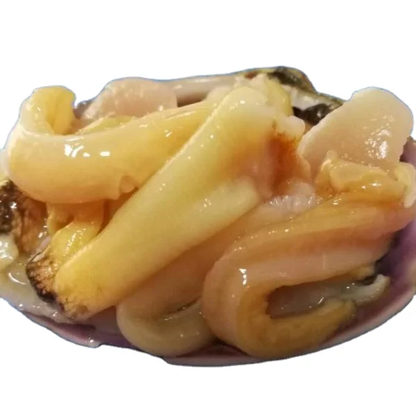 FROZEN HALF SHELL  FRESH  WASHINGTON CLAM IN HIGH QUALITY