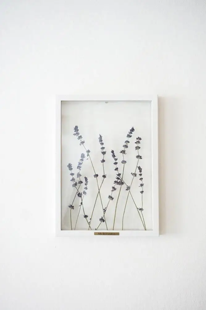 wholesale Hight quality  Frame plant flower creative acrylic wooden frame