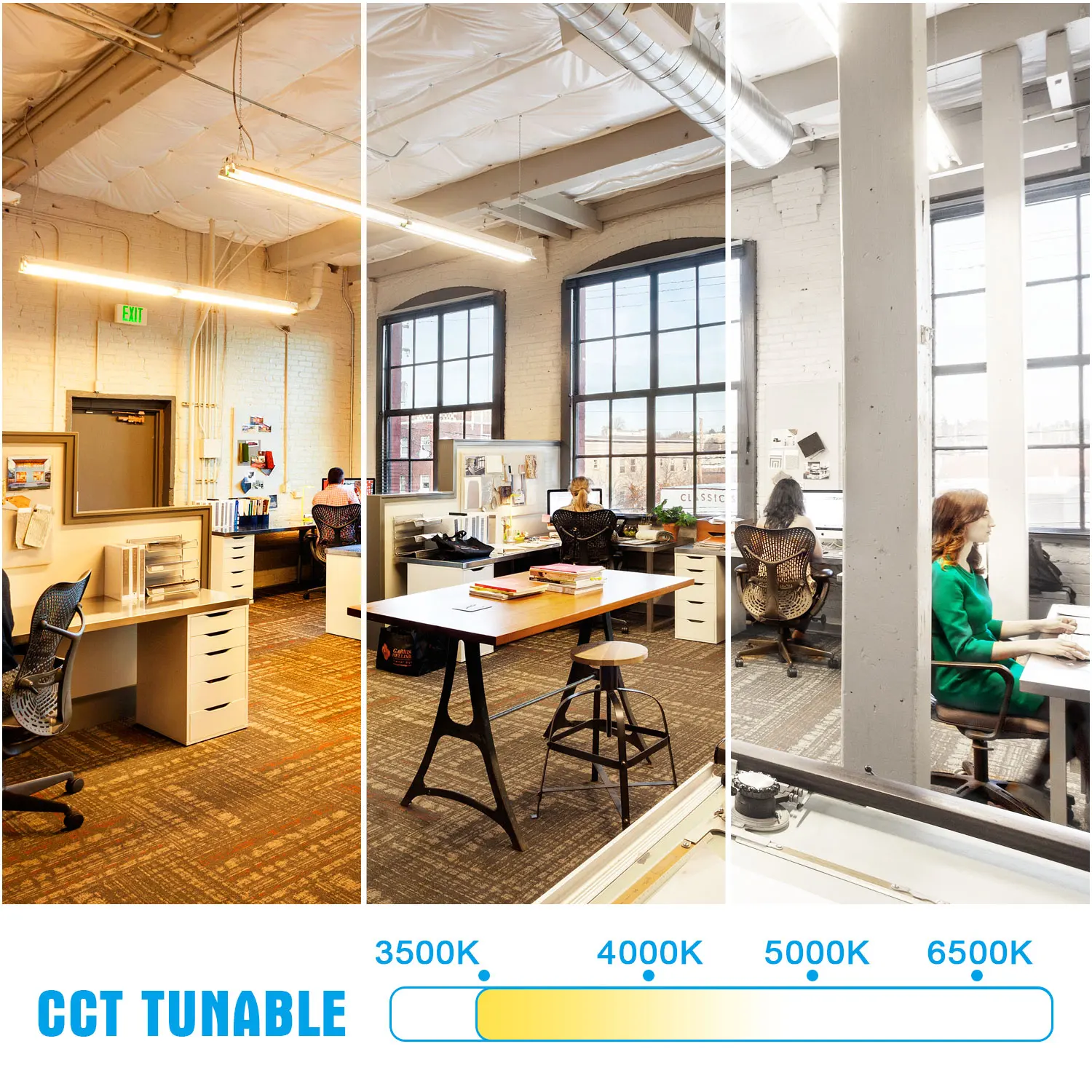 Usa Warehouse In Stock 150lm/w Cob 12v Led Strip Light Rgb Waterproof 4ft 8ft 80w Led Strip Lowbay Light For Warehouse Garage