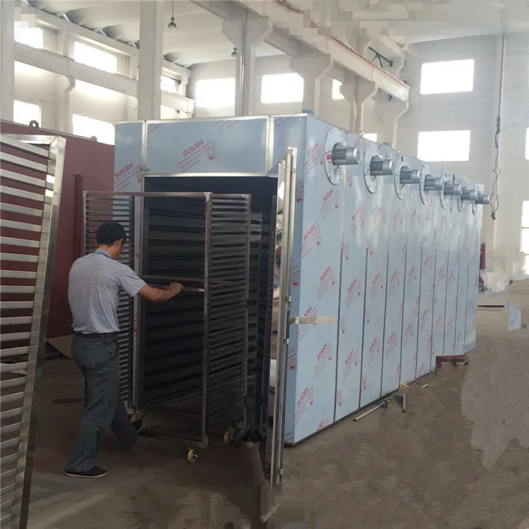 High quality dried fruits Avocado Mango vegetables processing line
