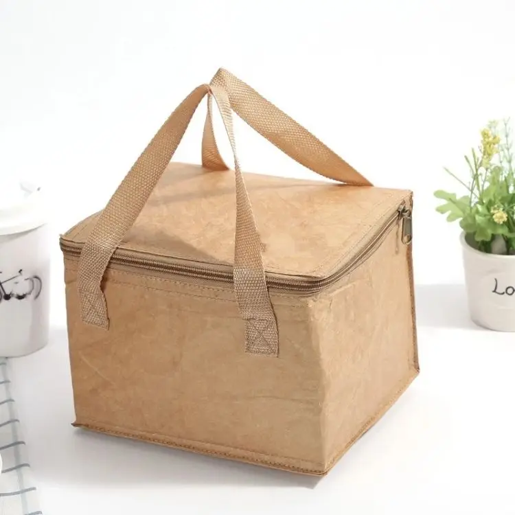 New Design Waterproof Frozen Lunch Bag For Children Dupont Paper Kraft Paper Lunch Bag For Adults