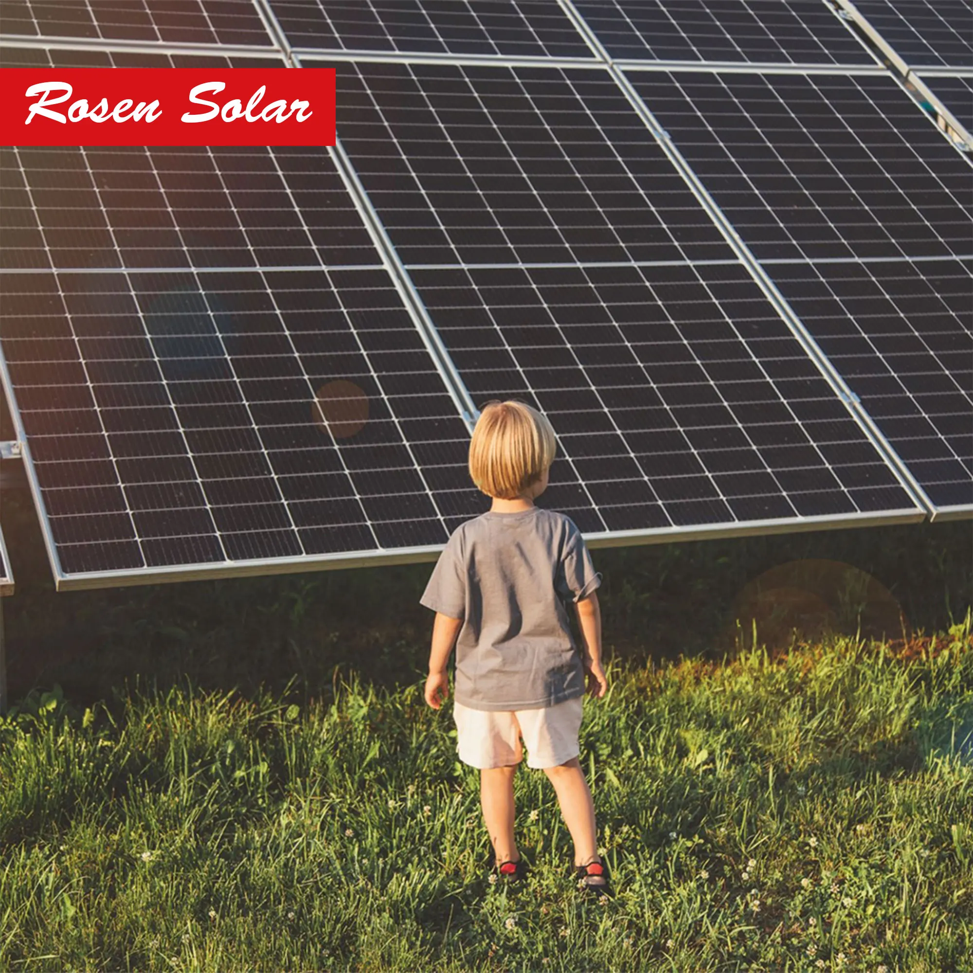 Rosen Solar 600W N-type TOPCon Solar Panels 600W 610W Monocrystalline PV Module Bifacial Solar Panel Panel