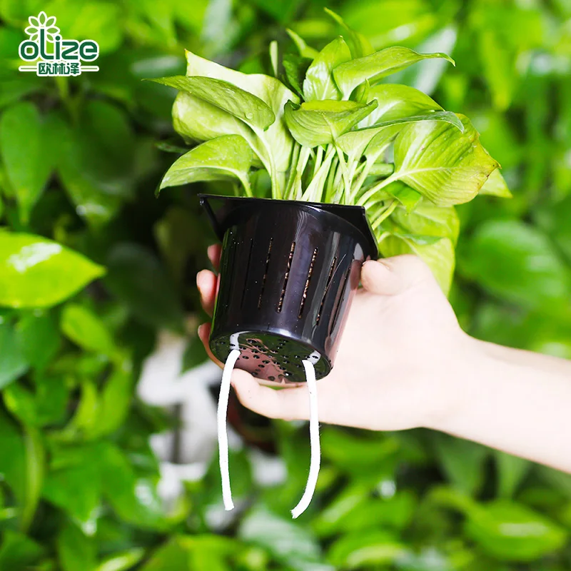 2020 Hot Sales Office decoration plant wall environment purification air plant wall