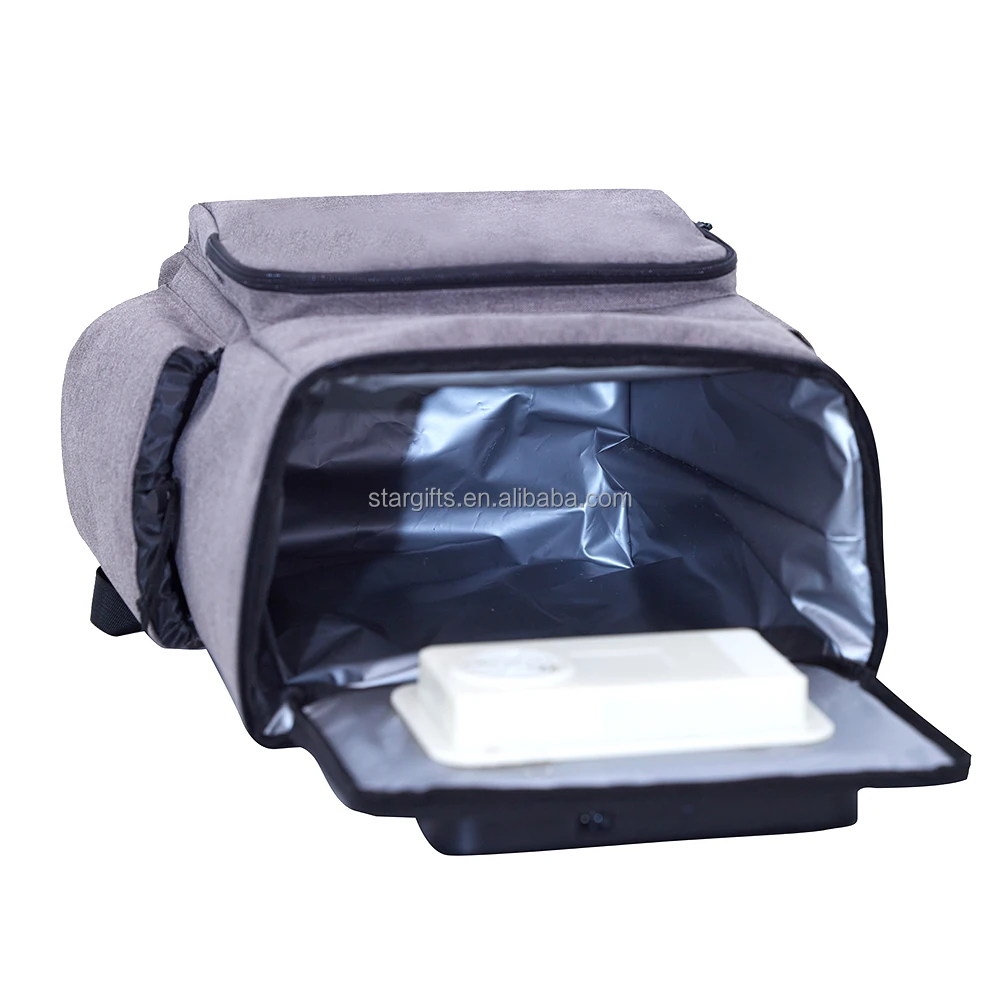 USA UK New Soft-Sided Portable Car Fridge Thermoelectric Iceless Electric Mini 12V Cooler Bag for Travel Trucking Road Trip