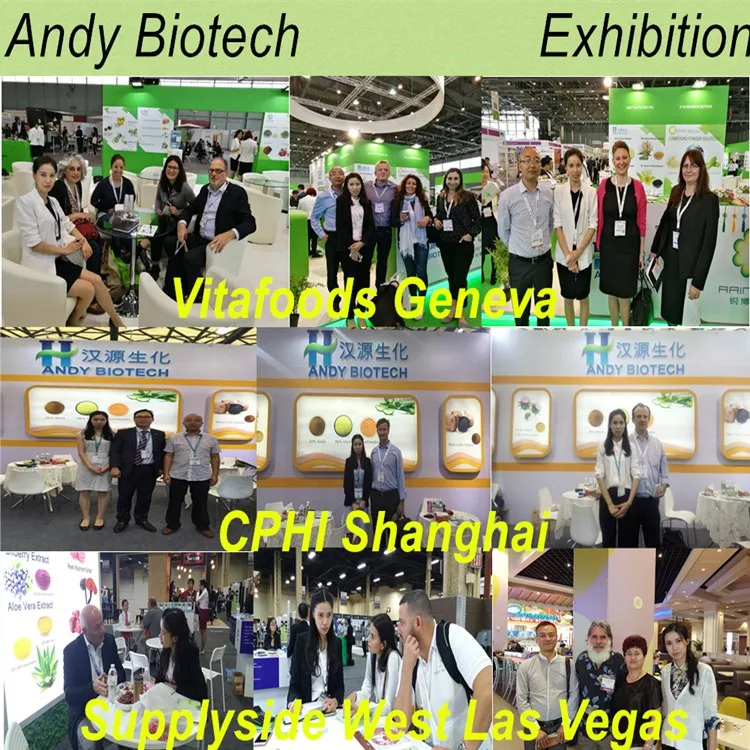 
Factory Supply Low Price Pure Natural Black Garlic Extract 