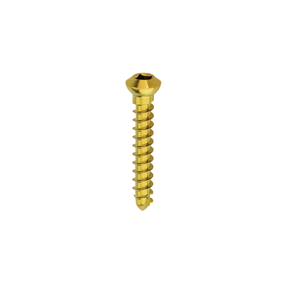 2.4 Quadrangle Cortex Bone Screws HAQ05 Type Titanium Orthopedic Medical Surgical Implant