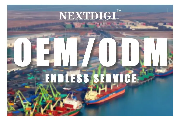 NEXTDIGI Customizable 500g*2 Water Soluble Natural Fragrant Liquid Detergent Powder Good Price Bulk Cleaning Powder Laundry OEM