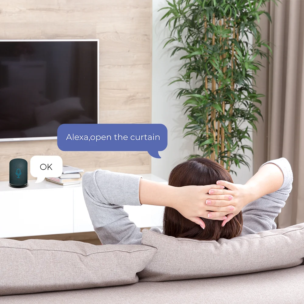 SmartLife Alexa Google Home Control WiFi Tuya Smart Curtain Driver Robot For Roman Rod I Type U Type Curtains Track