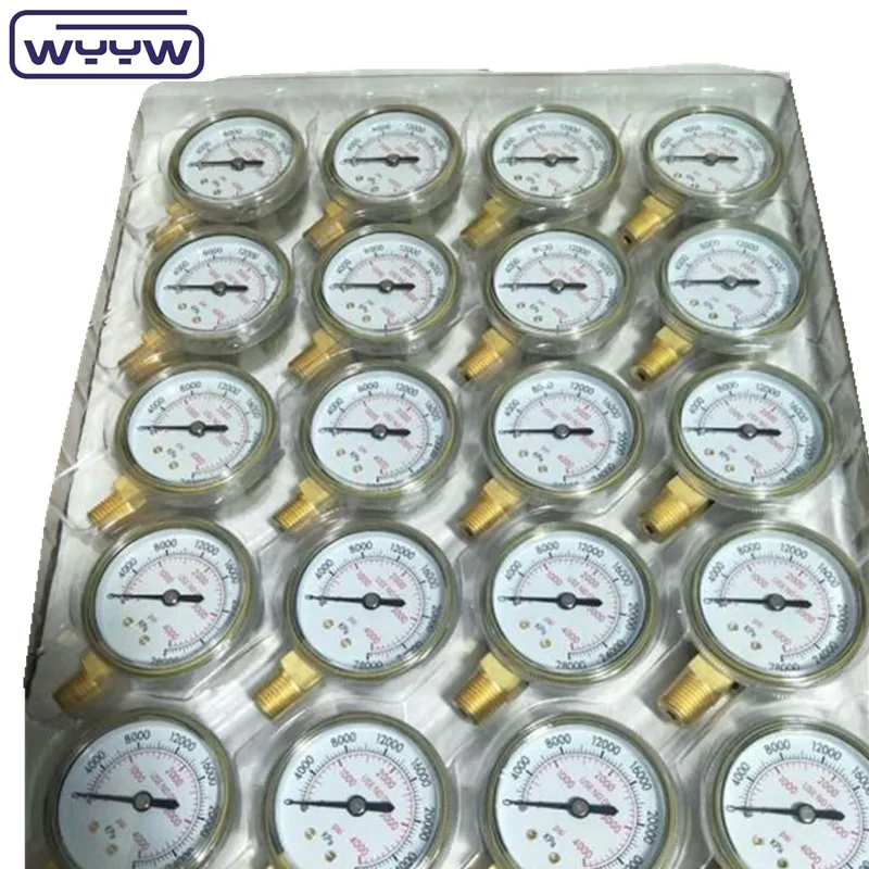  Манометр с масляным наполнением 1Psi (0 - 600 Psi) Npt