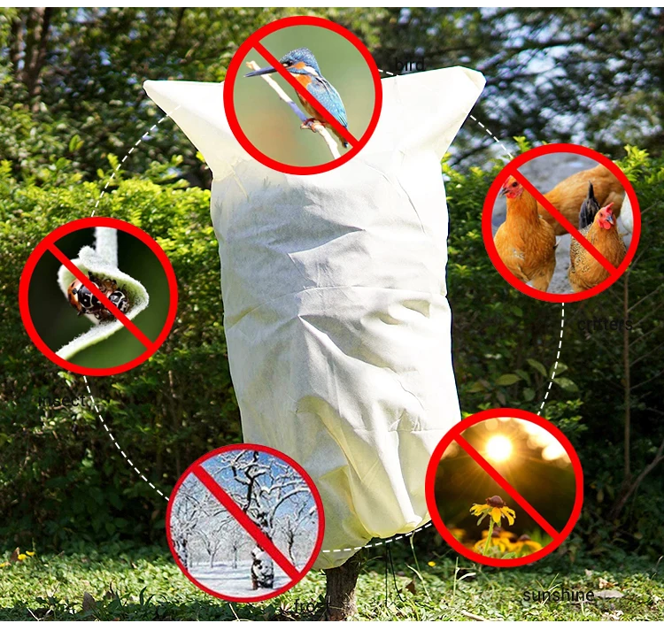 PP Spun Bonded Non Woven Agriculture Cover Garden Fleece Cloth Anti Frost Plant Cover Nonwoven 100% Polypropylene Canvas Fabric