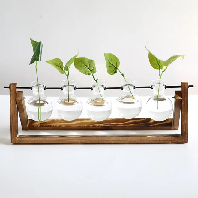 New Arrival Desktop Propagation Stations Planter Glass Vase for Tabletop Hydroponics Plants Dining Table Centerpiece Decoration