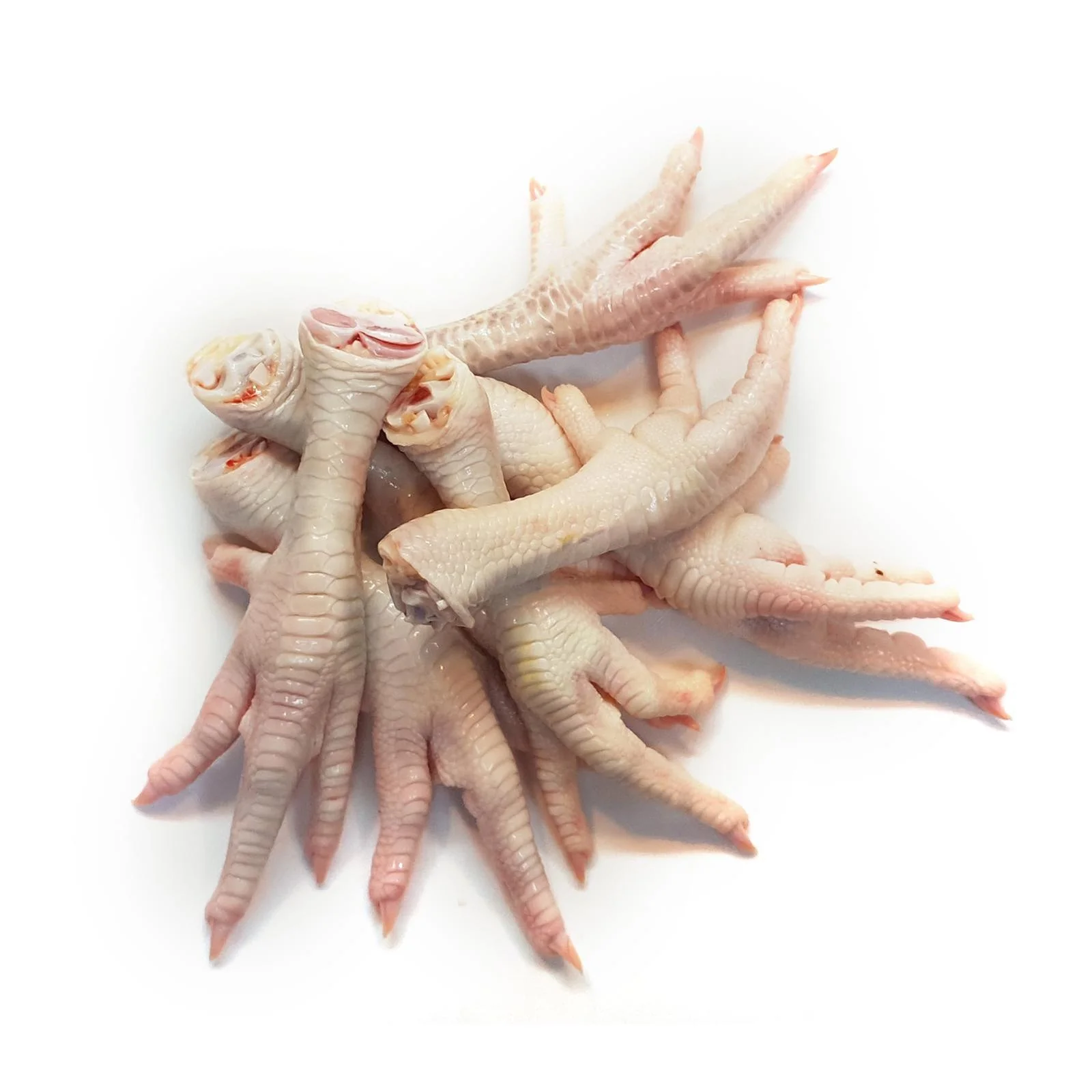 Approved SIF Frozen Chicken Feet_ SIF number 490