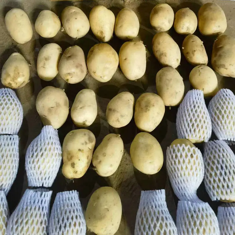 Personal order: Fresh potatoes Holland  potatoes