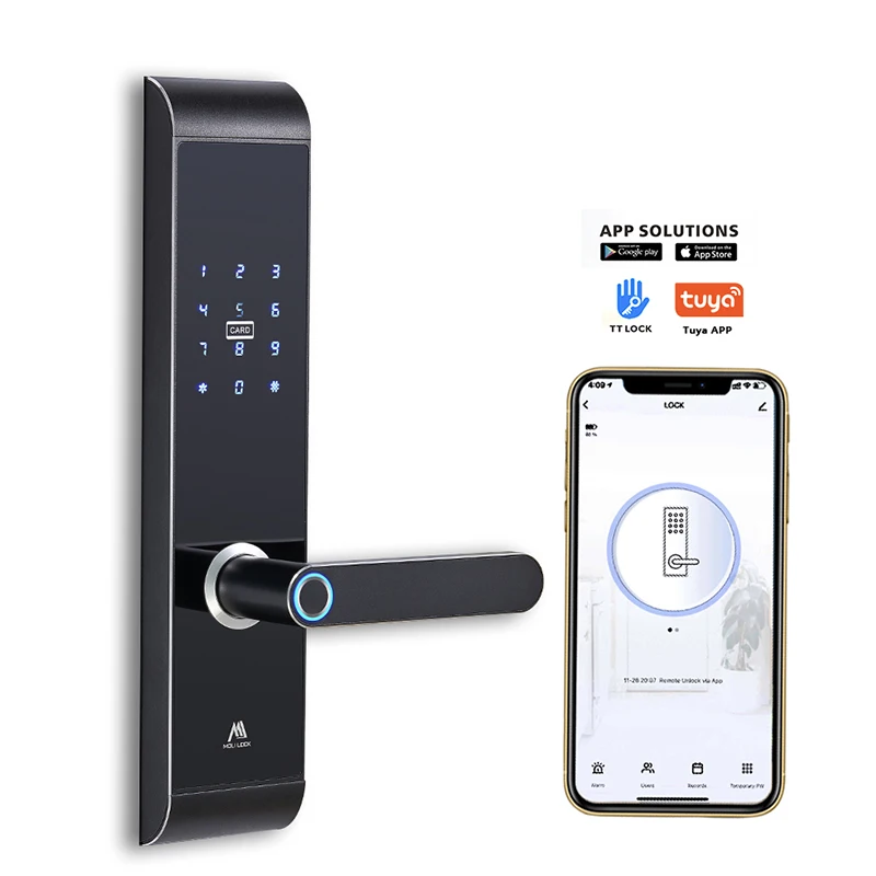 Smart Electronic Lock Wireless Wifi Intelligent Fingerprint Door Lock Electronic Biometric Doorlock