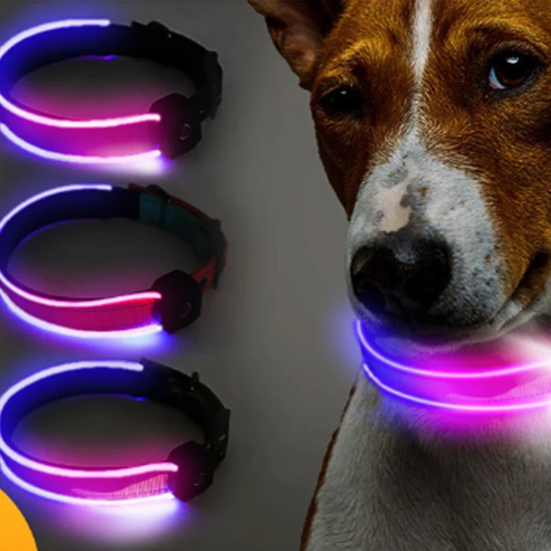 2024 Light Up Led Dog Collar Usb Rechargeable Custom Design Waterproof Night Safety Flashing Glow In The Dark Light Dog Collar