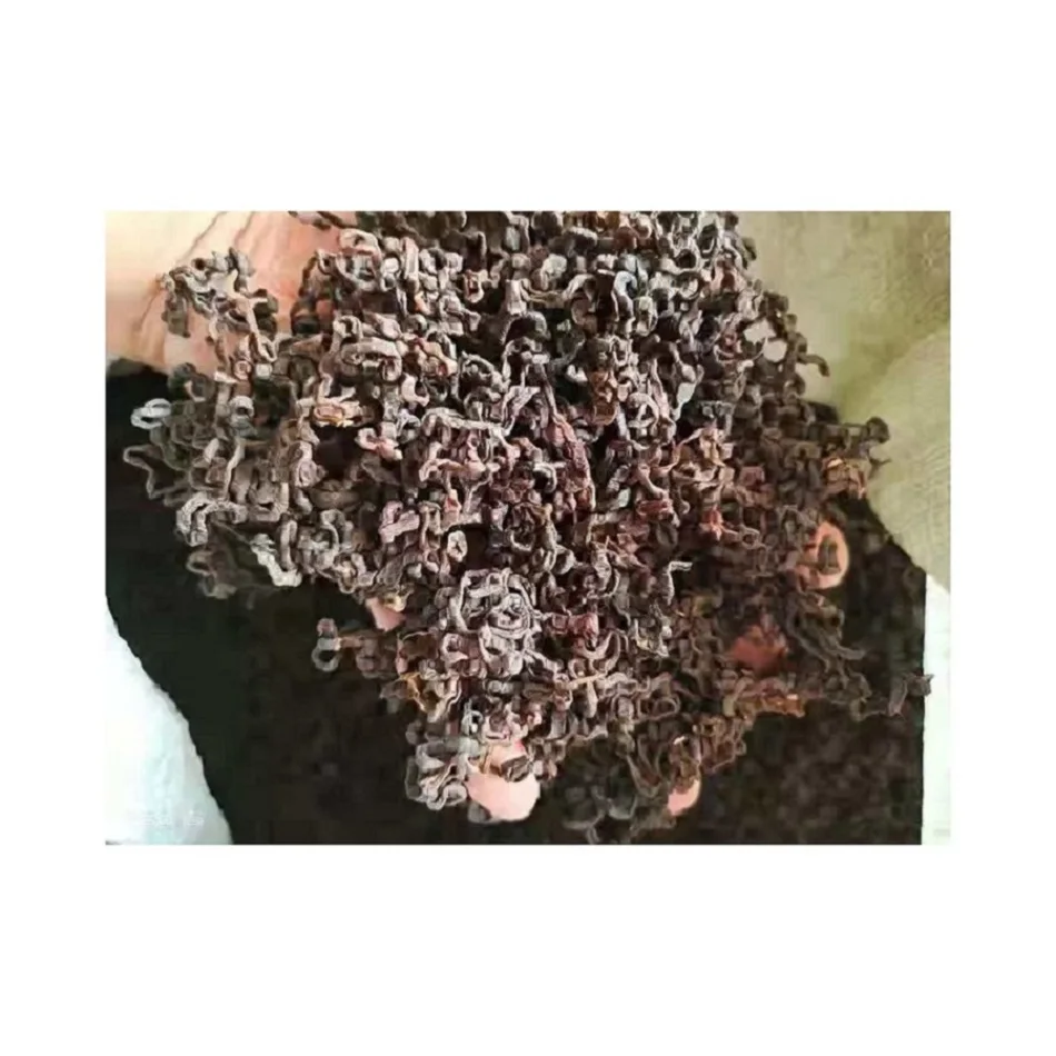 
Wholesale Price Nutritious Vitamins That Can Remove Calories and Detoxify Drird Bracken 