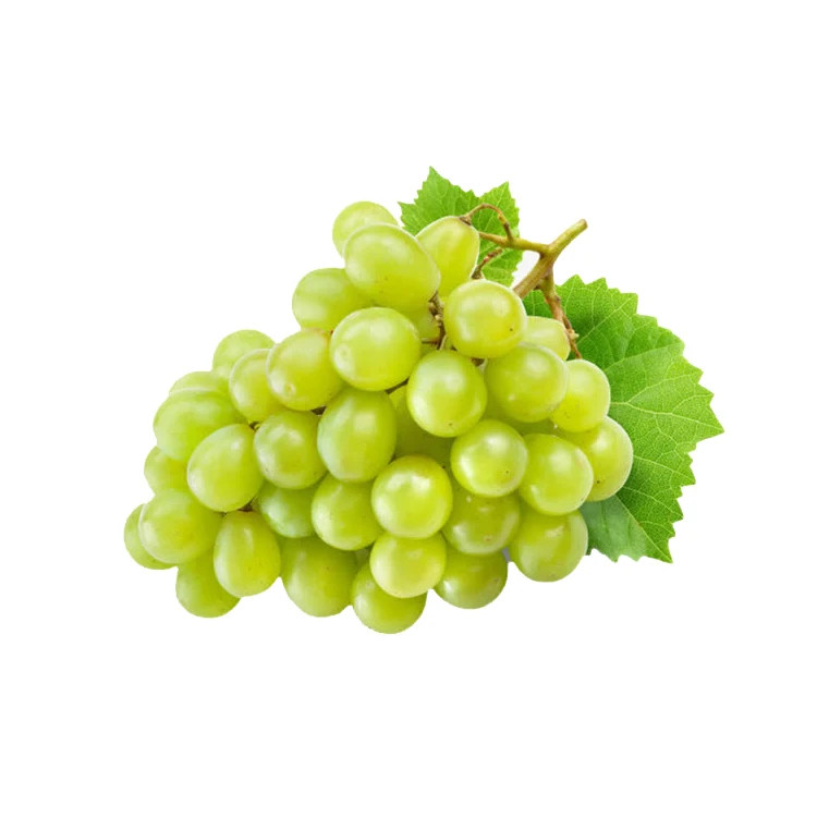 
Wholesale Box Style Storage Packaging Green Plant Grape Fruit Grape Dyb Grape 