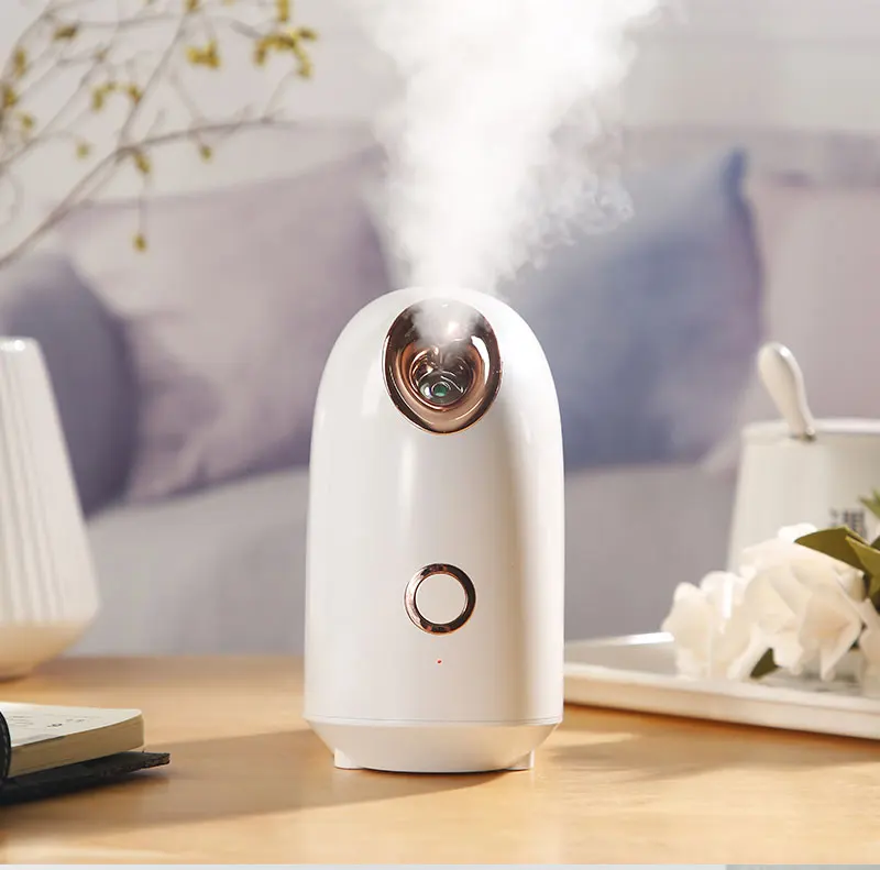 Бесплатный образец, ионная Глубокая очистка, мини портативные эфирные масла, теплый отпариватель для лица, Лидер продаж