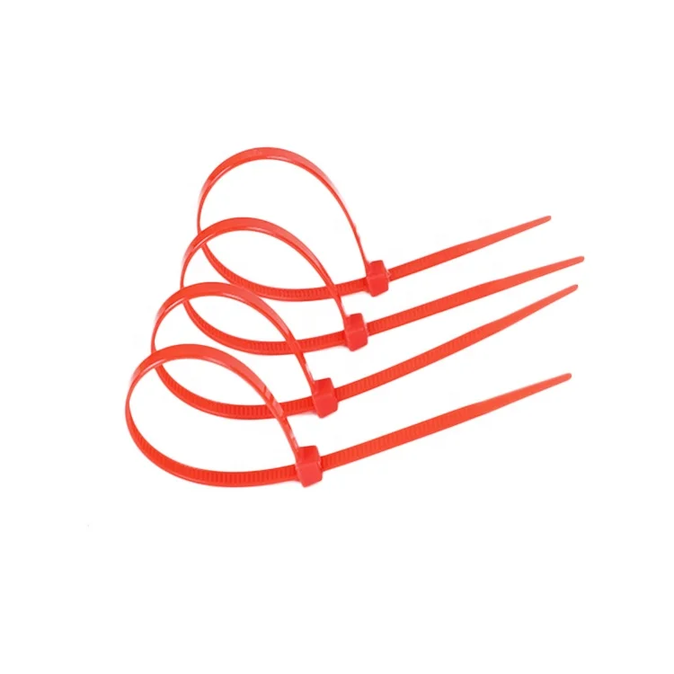 High Quality Self Locking Metal Nylon 66 Plastic Cable