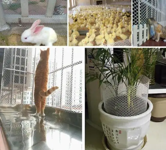 plastic mesh poultry fencing netting for sale