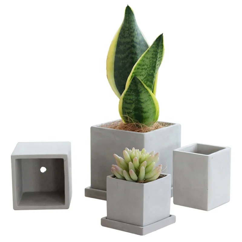 Morden Design Square Cement Flower Pot with Saucer for Plants Home Decorative Livingroom Home Garden Decoration Square Shape T/T