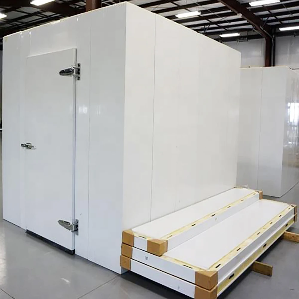 Mini Cold Storage Fruits Vegetables Custom Cool Room Bitzer / Copeland /  Compressor 100 /120mm Panel  Hotels