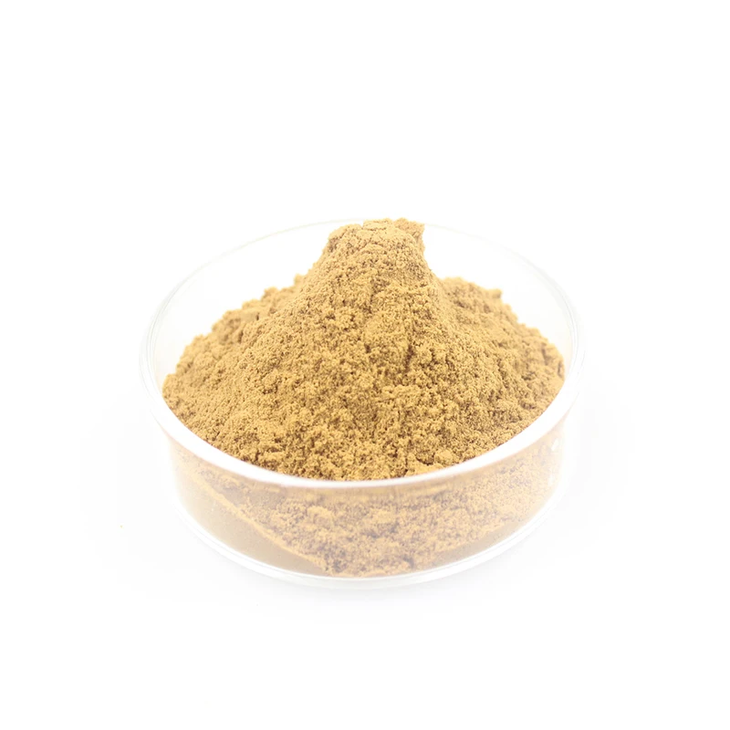 Hot Selling Factory Price Custom Instant Muscletech Whey Protein Sachet Supplement