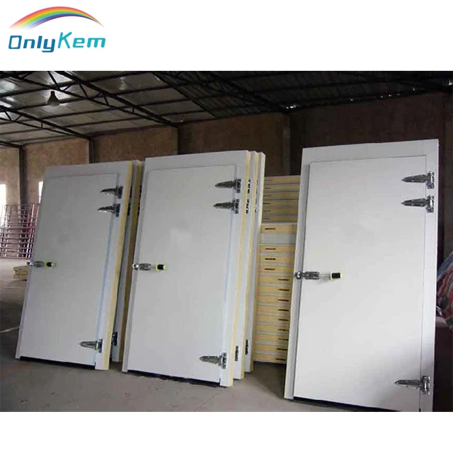 Hinged door sliding door cold room door