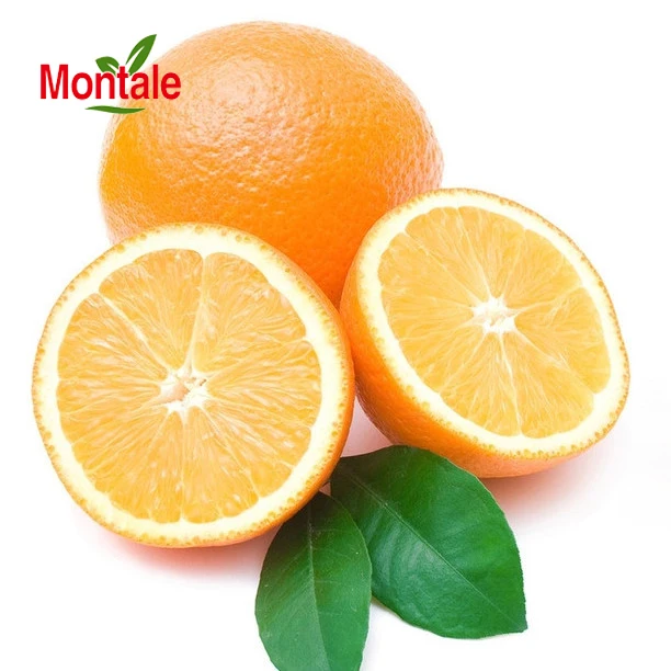 Montale Top quality nutrients fresh newhall orange Natural Cultivation type orange