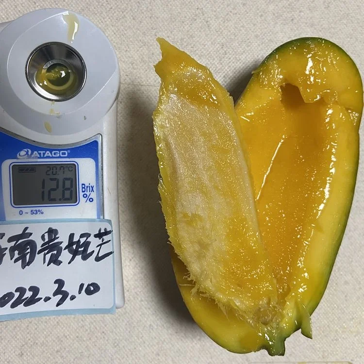 Wholesale Good Quality Fresh Mango Fruits Exported Thin Kernel Sweet Juicy Mango