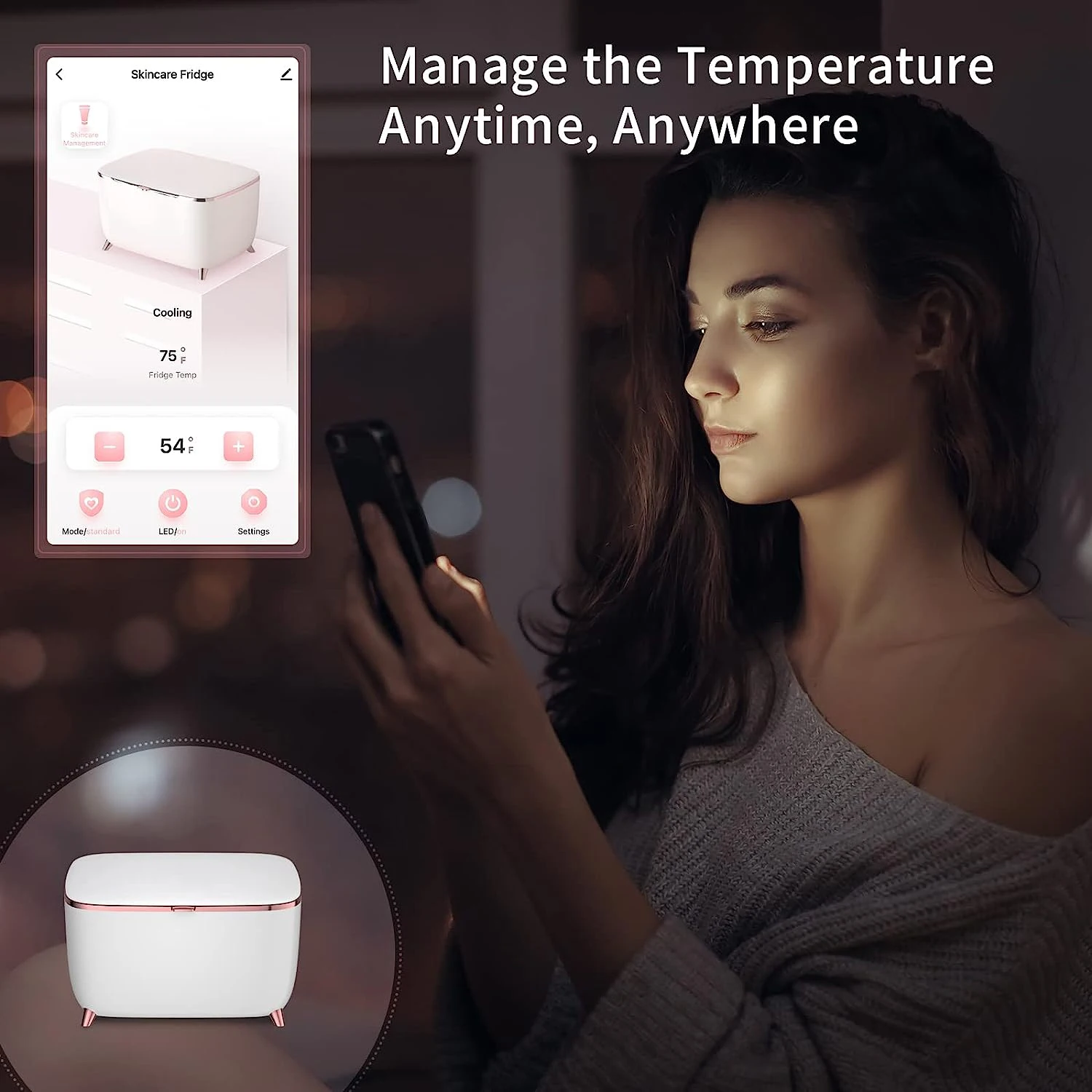 Portable Mini Fridge 9 Liter Beauty Makeup Skincare Fridge Cosmetics Refrigerator