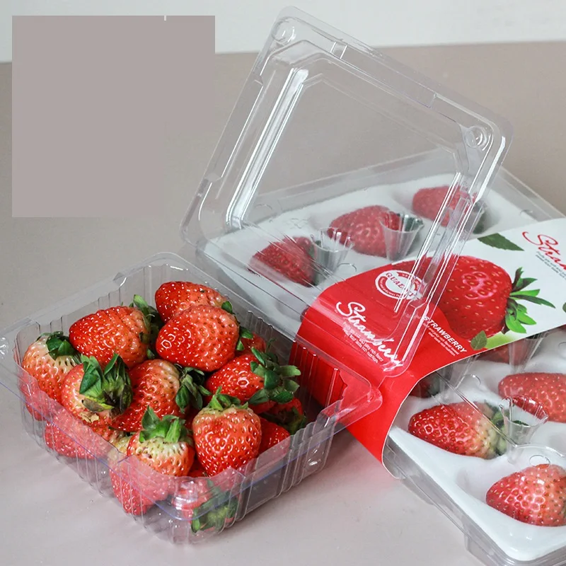 China Factory PET Material Fruit Box With Fresh Food Packaging Plastic Containers