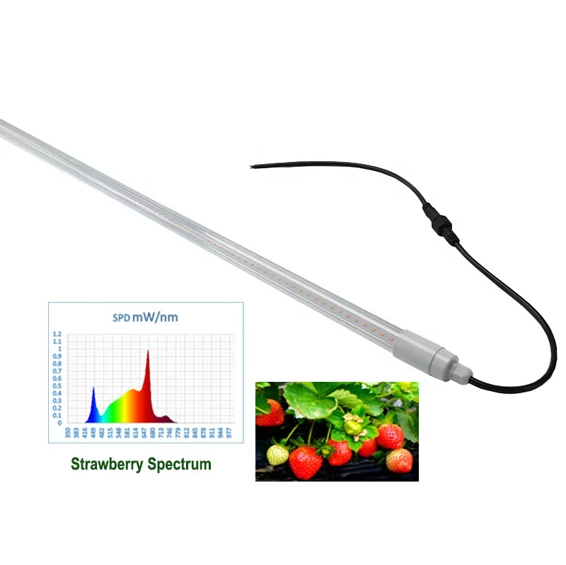 12v 24v 36v t8 36w full spectrum waterproof led grow tube light for leaf vegetables strawberry