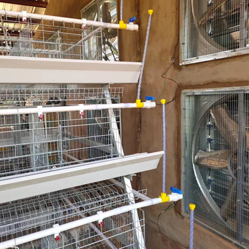 10 Sets Discounted Price Poultry Equipment Chicken Farming A Type 10000 Layer Chickens Farm Bird Layer Chicken Cage For Sale