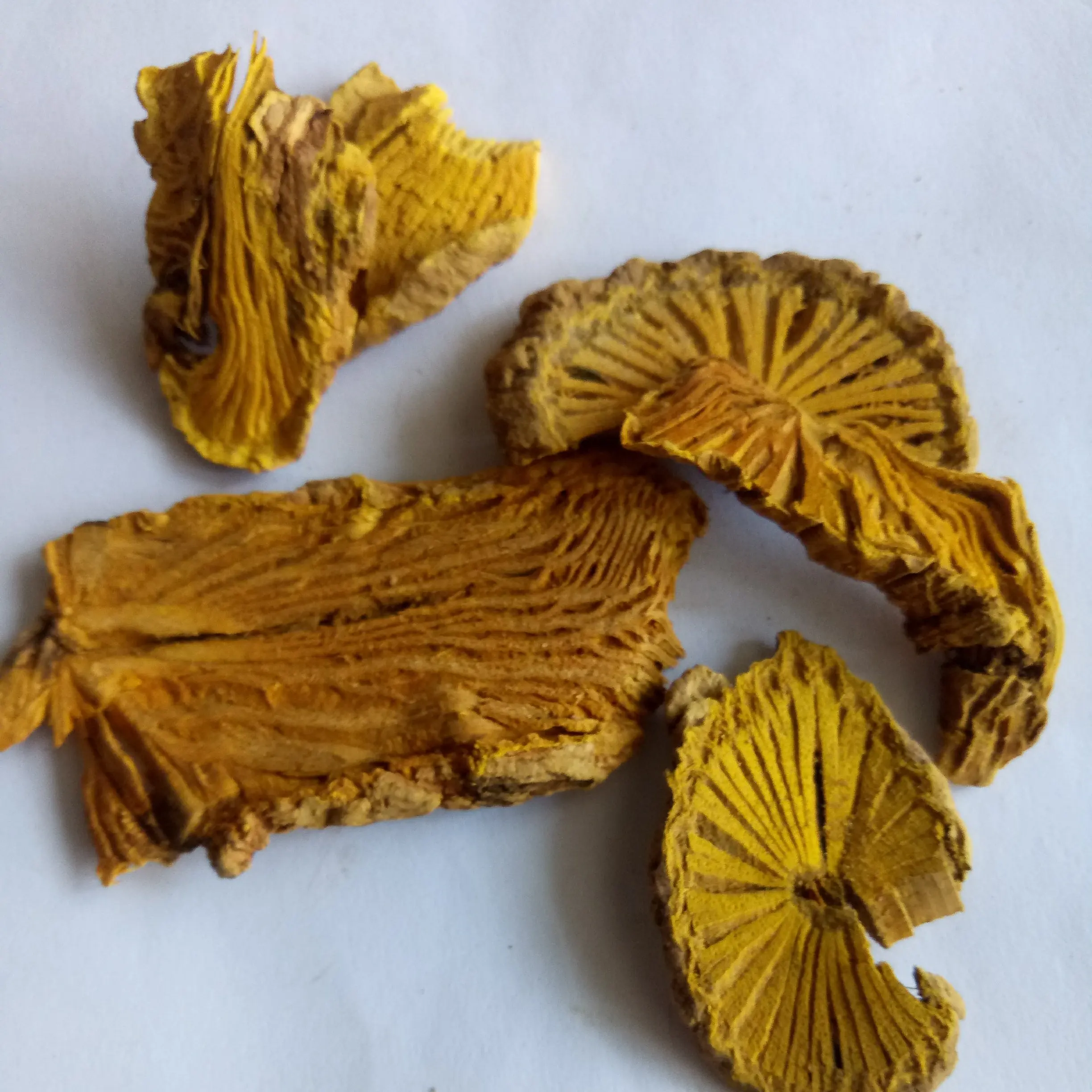 
dried botanical herb Caulis Fibraureae Common Fibraurea Stem slices 