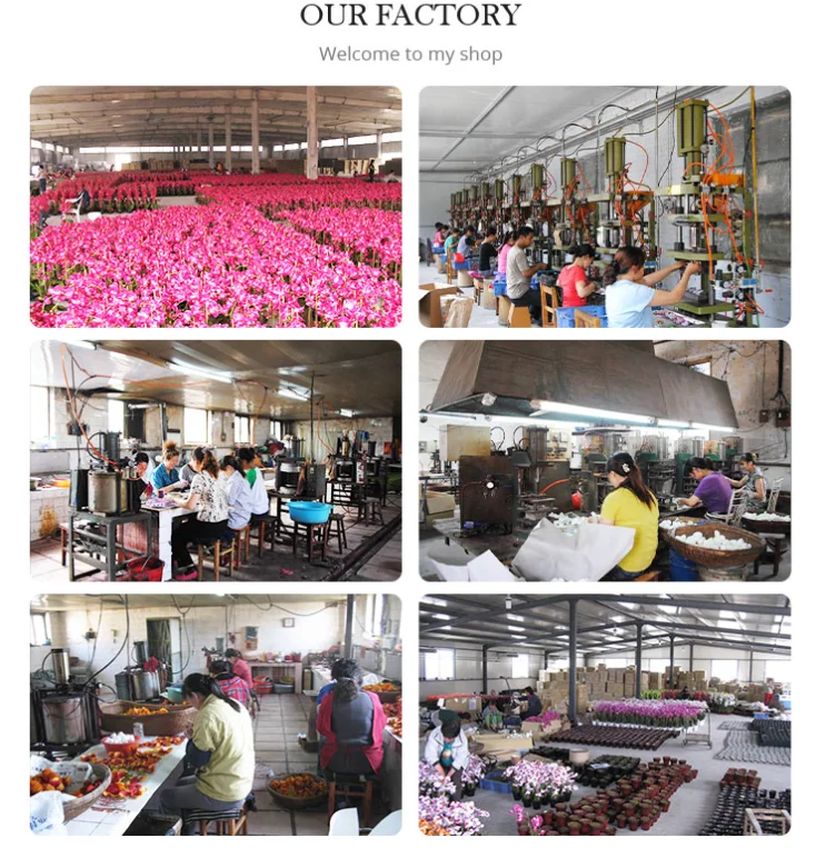 Cheap Wholesale latex nature touch Orchid Artificial Flowers With Glass Vase for wedding deco