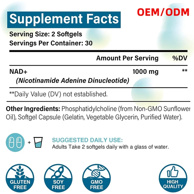 Brain Function 60 Capsules NAD+ Supplement 1000 mg Highest NAD Potency Max Absorption Pure NAD Supplement Energy and DNA Repair