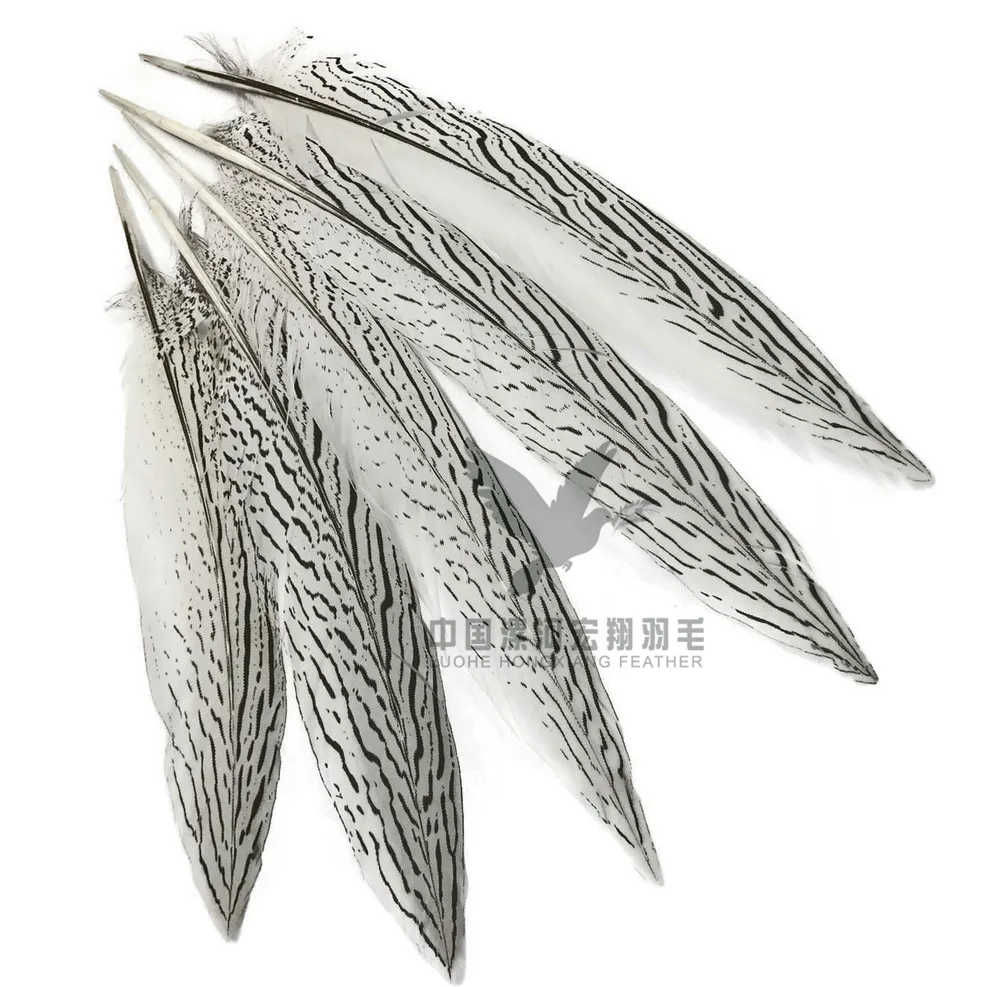  25-30cm silver pheasant tail