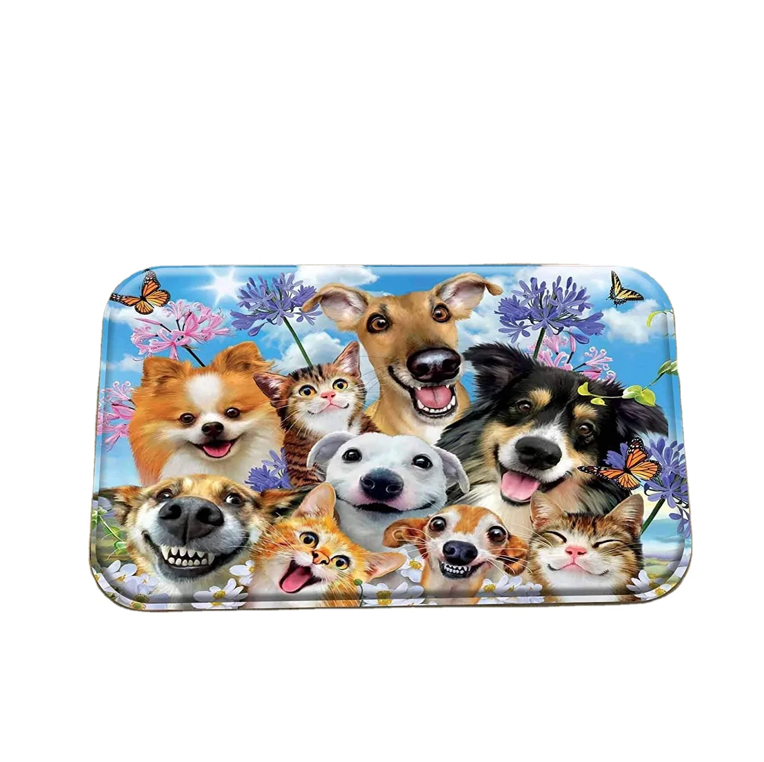 Diatomaceous Earth Bath Mat Diatomite Bath Mat Fast Water Drying Diatom Mud Mat Absorbent