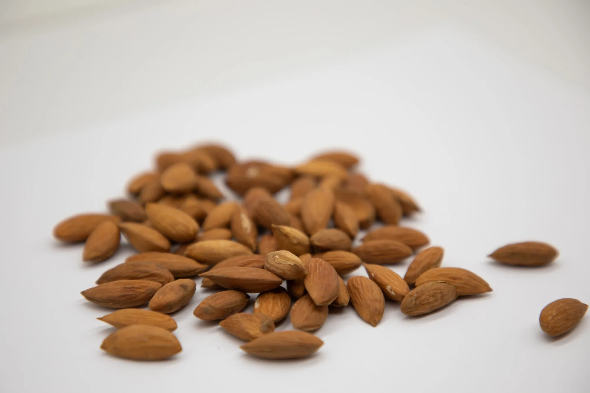 Healthy snack top grade organic almond kernels shelled almonds nuts in bulk from Uzbekistan manufacturer