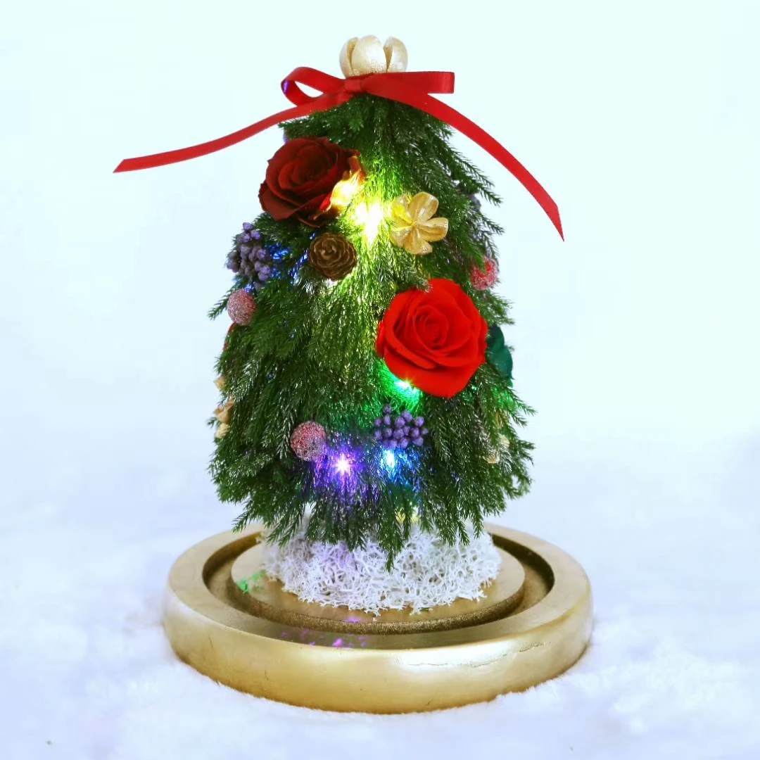Christmas Day Preserved Fresh Flower Glass Dome Elegant Display for Your Home or Office