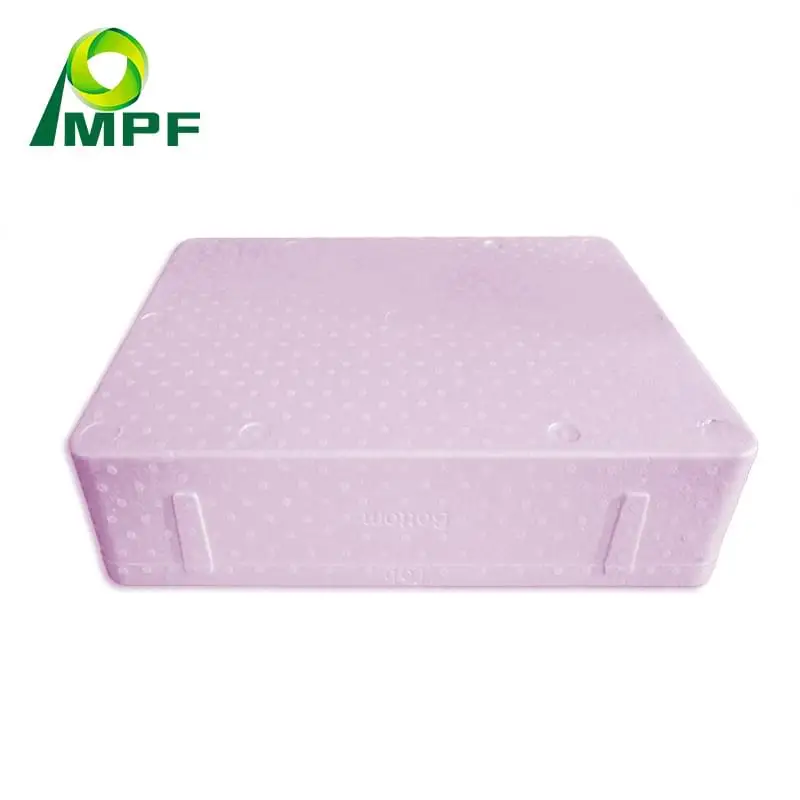 Customized EPS/ EPP foam insulation packaging box